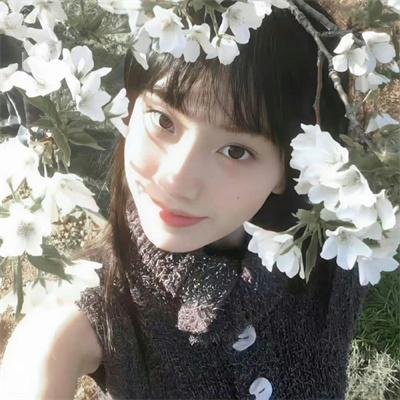 不疯不狂不爱你